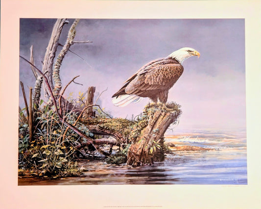 Scott Zoellick "Silent Outpost" Signed & Numbered Bald Eagle Limited Print 284/8