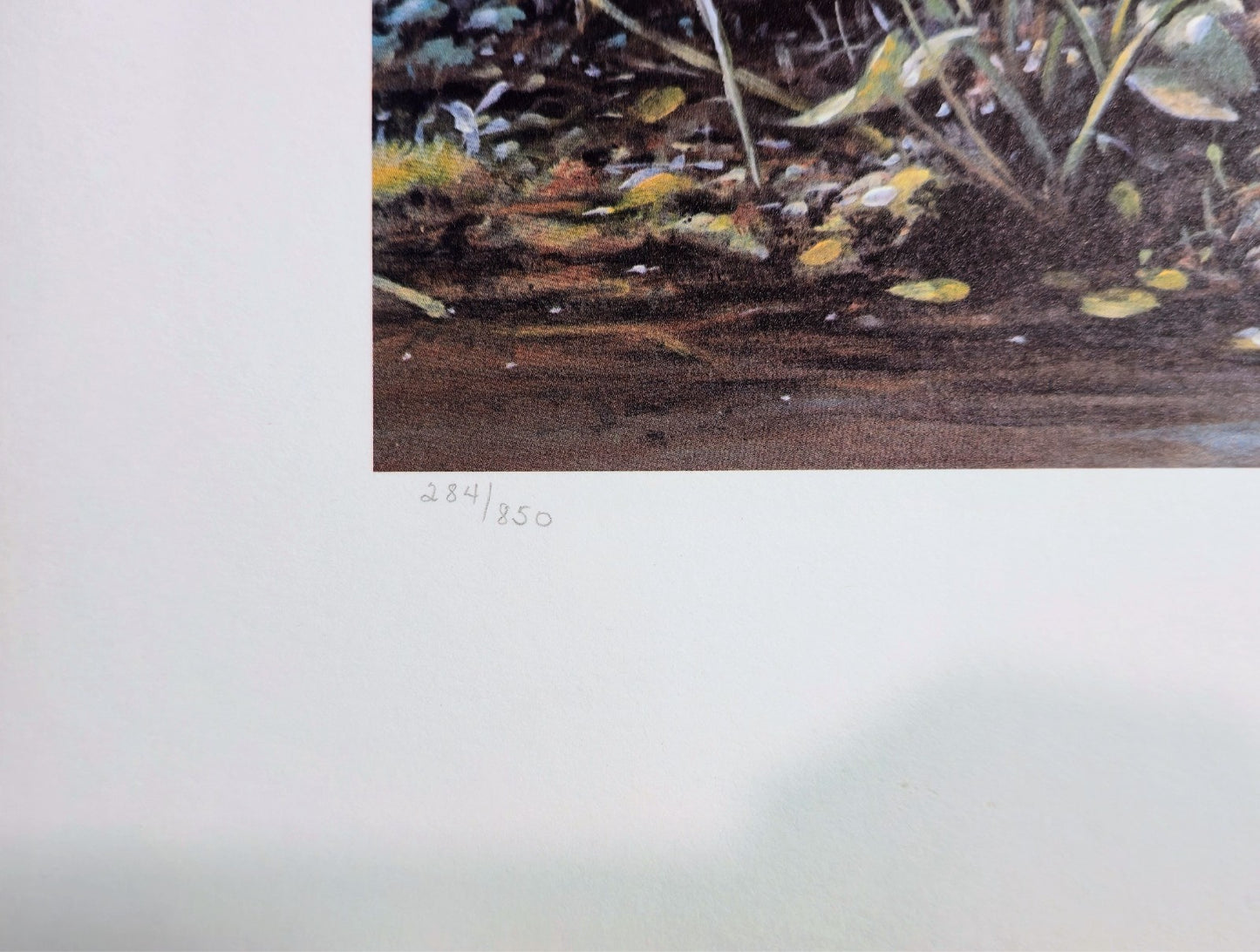 Scott Zoellick "Silent Outpost" Signed & Numbered Bald Eagle Limited Print 284/8