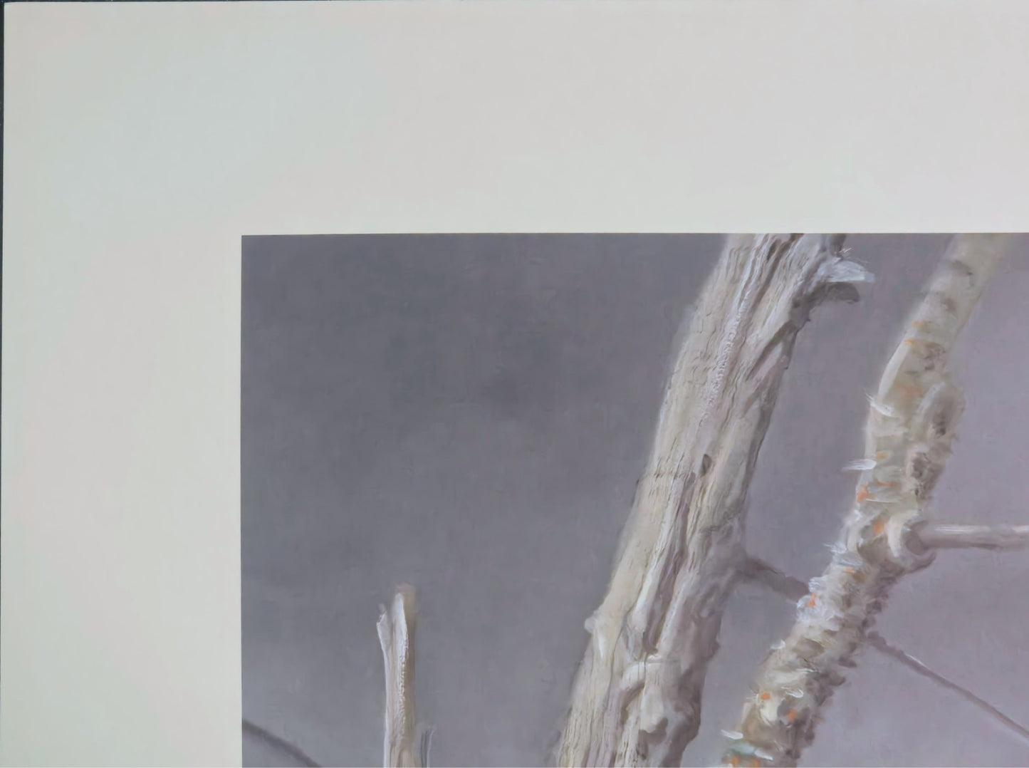 Scott Zoellick "Silent Outpost" Signed & Numbered Bald Eagle Limited Print 284/8