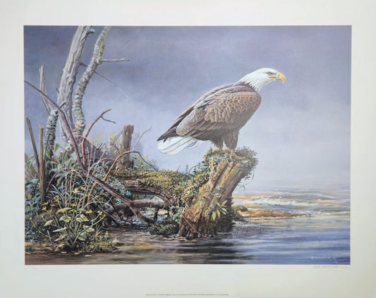 Scott Zoellick "Silent Outpost" Signed & Numbered Bald Eagle Limited Print 284/850