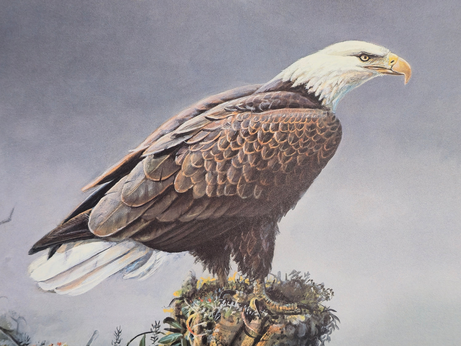 Scott Zoellick Silent Outpost Signed Print of a Bald Eagle Perched near the water